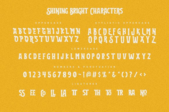 Shining Bright插图3