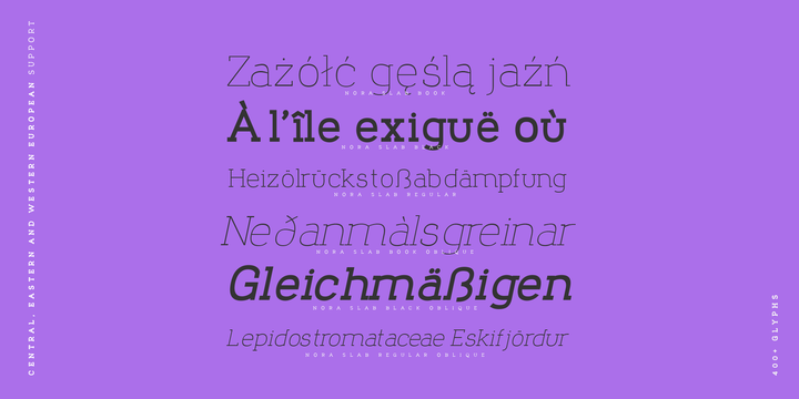 Nora Slab Font Family插图3