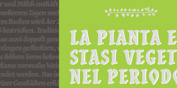 JAF Herb Font Family插图