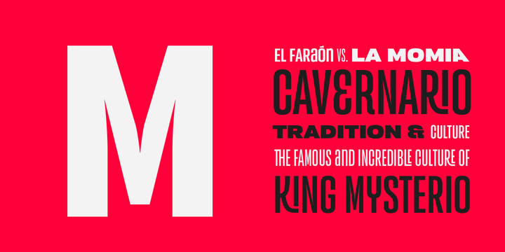 Versus Font Family插图2