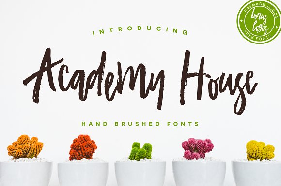 Academy House Brush Font插图