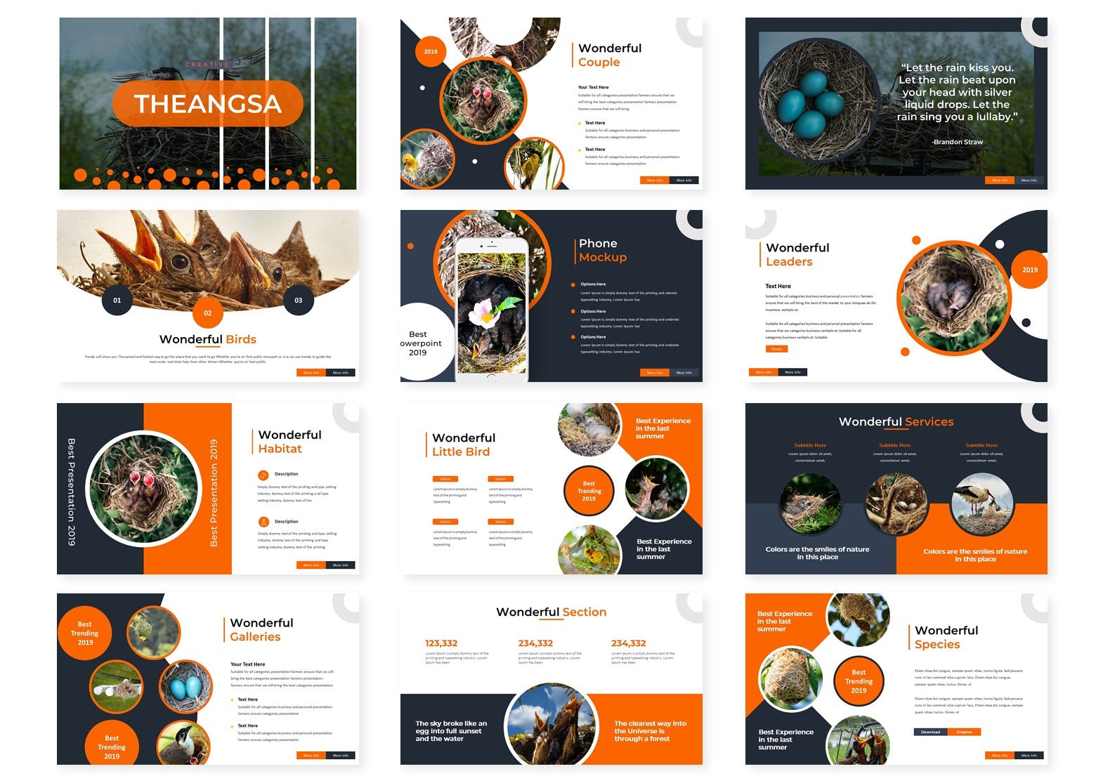 鸟类调查报告PPT幻灯片模板 The Angsa – Powerpoint Template插图(1)