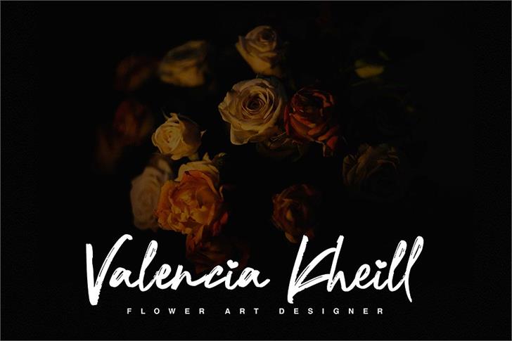 Nocturnal font插图1 Nocturnal font插图1