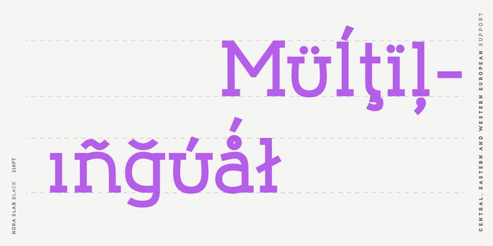 Nora Slab Font Family插图2