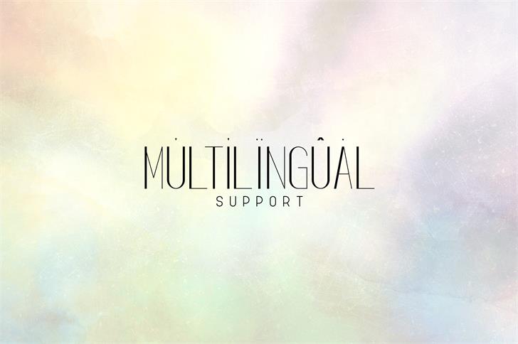 Fancy Light font插图6