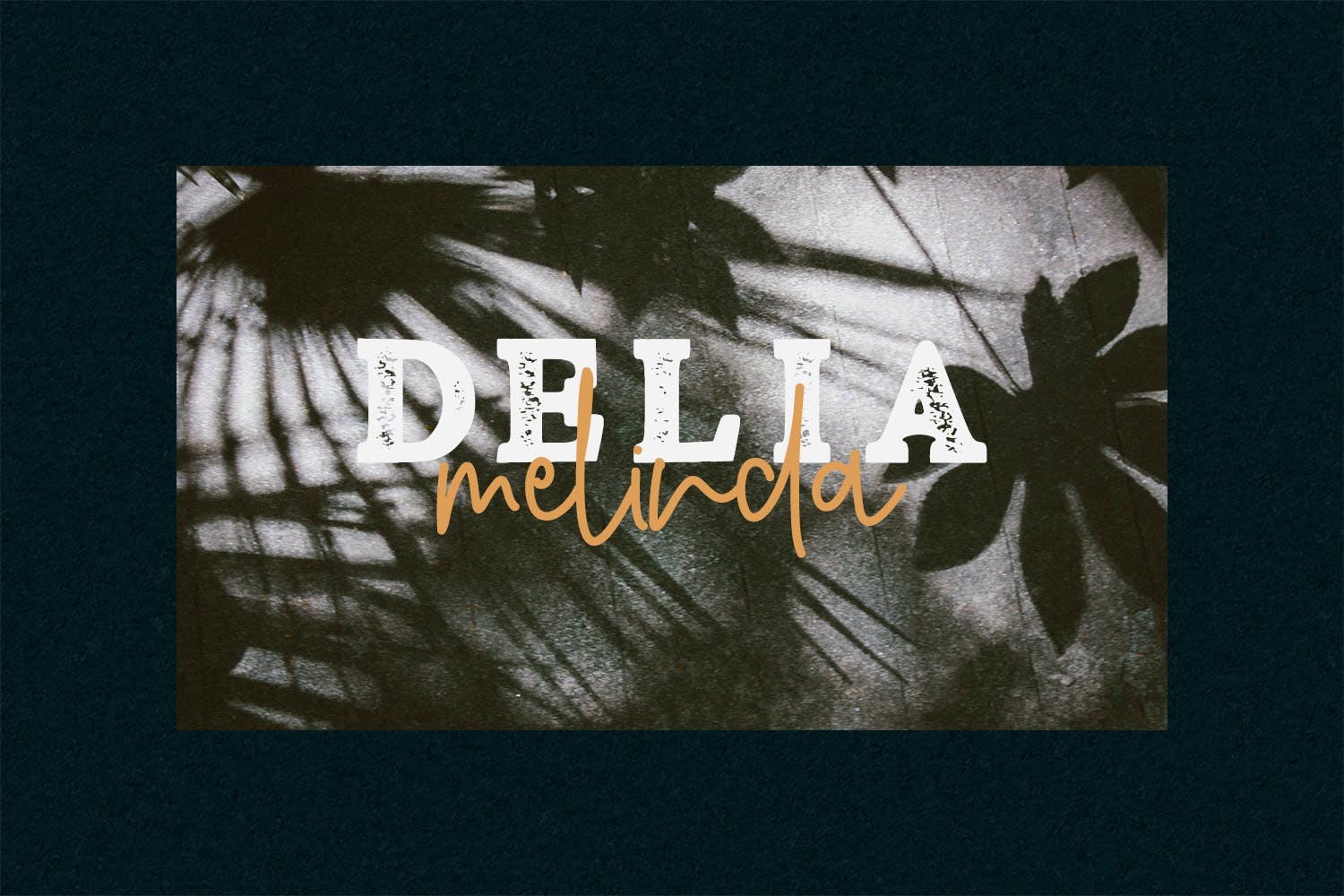 复古装饰风格英文无衬线设计字体下载 Fiber – Vintage Serif Font插图(3)