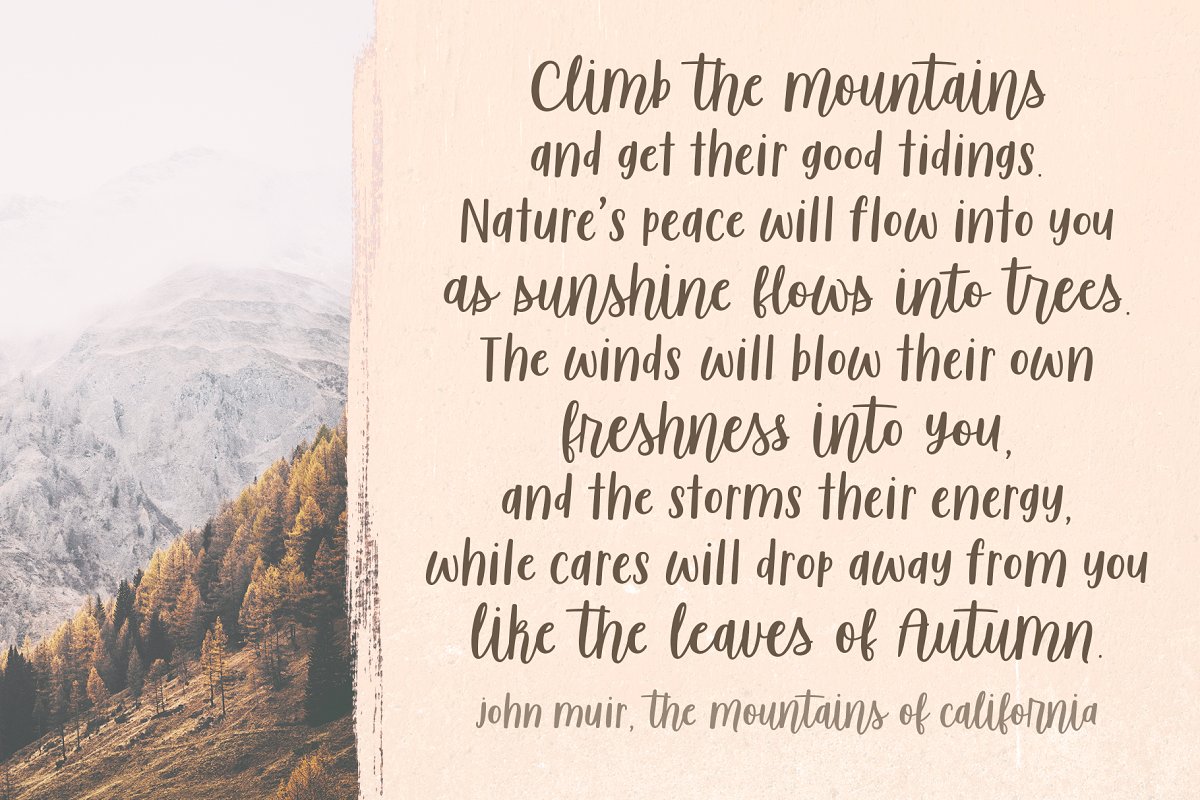 Sugar & Spice Font Duo插图2