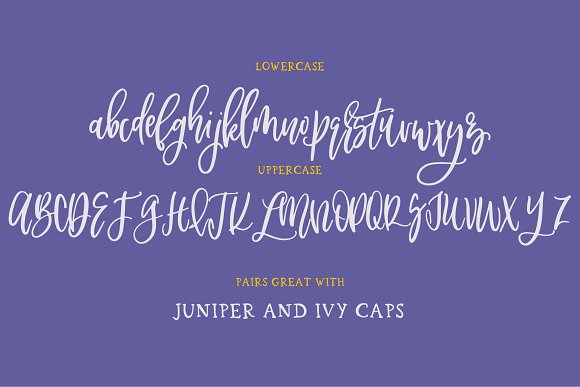 Jessamine Font插图2