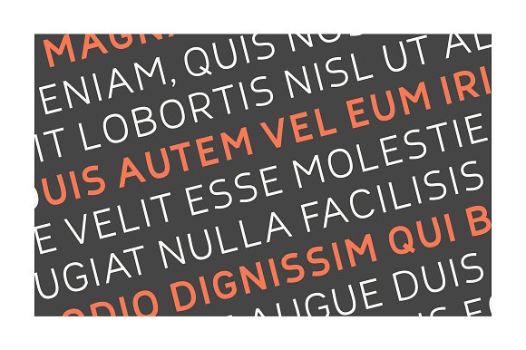 Nora Grotesque插图5