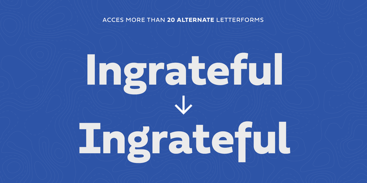 Fieldwork Font Family插图3