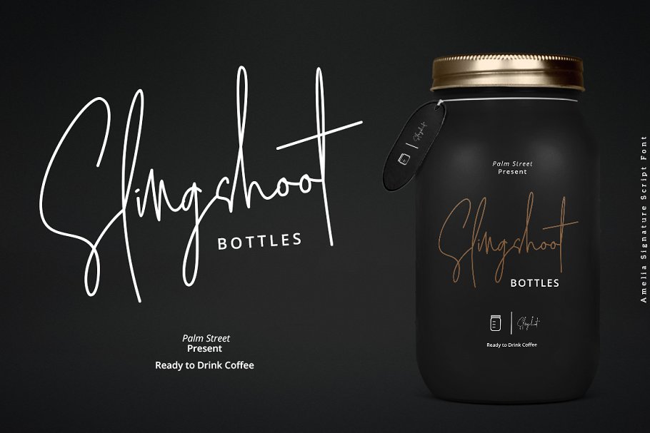 Amelia Signature Font插图1