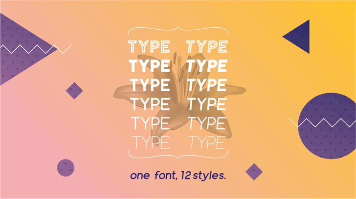 Zilap Universal font插图2