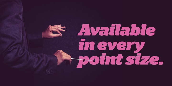 Polyphonic Font Family插图2