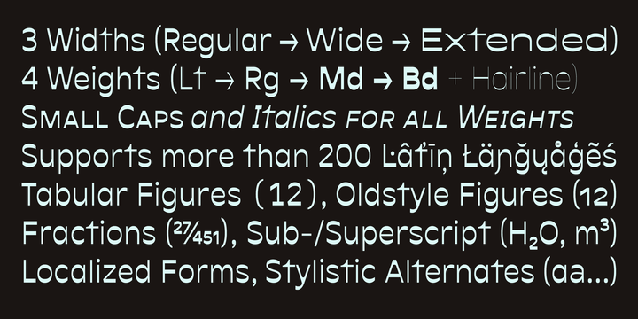 Antipol Font Family 26 Font插图6