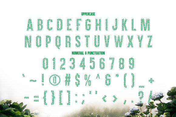 Clorofil Font插图1