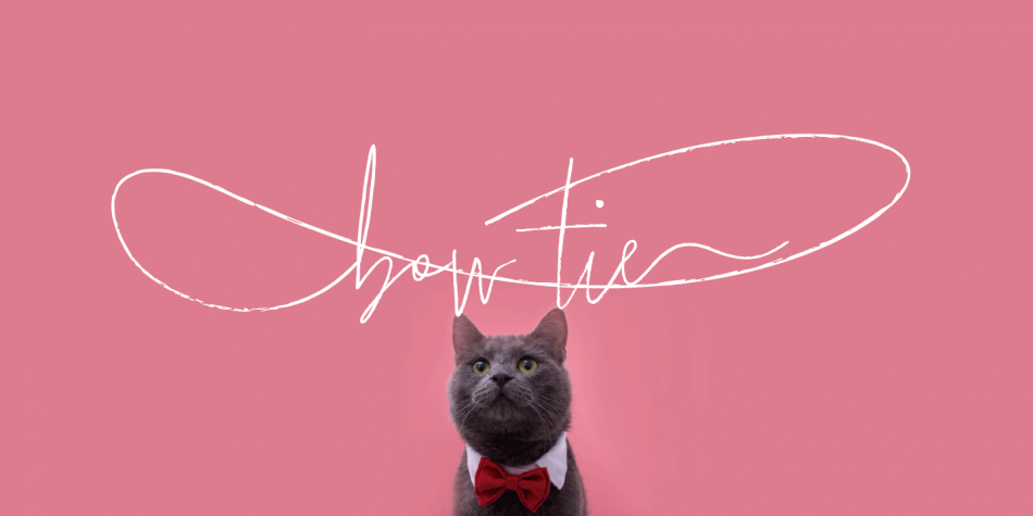 Bow Tie Font Family插图