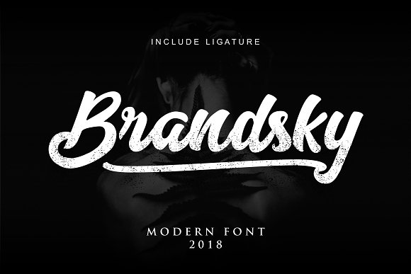 Brandsky Logo Font插图