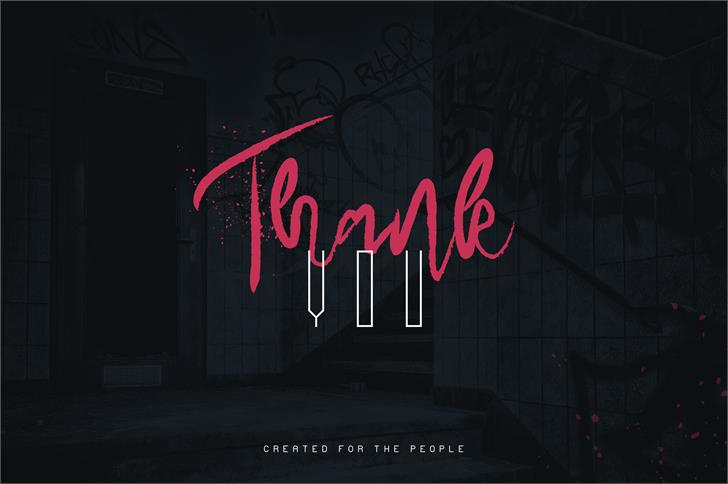 MadHouse Sanslight font插图8