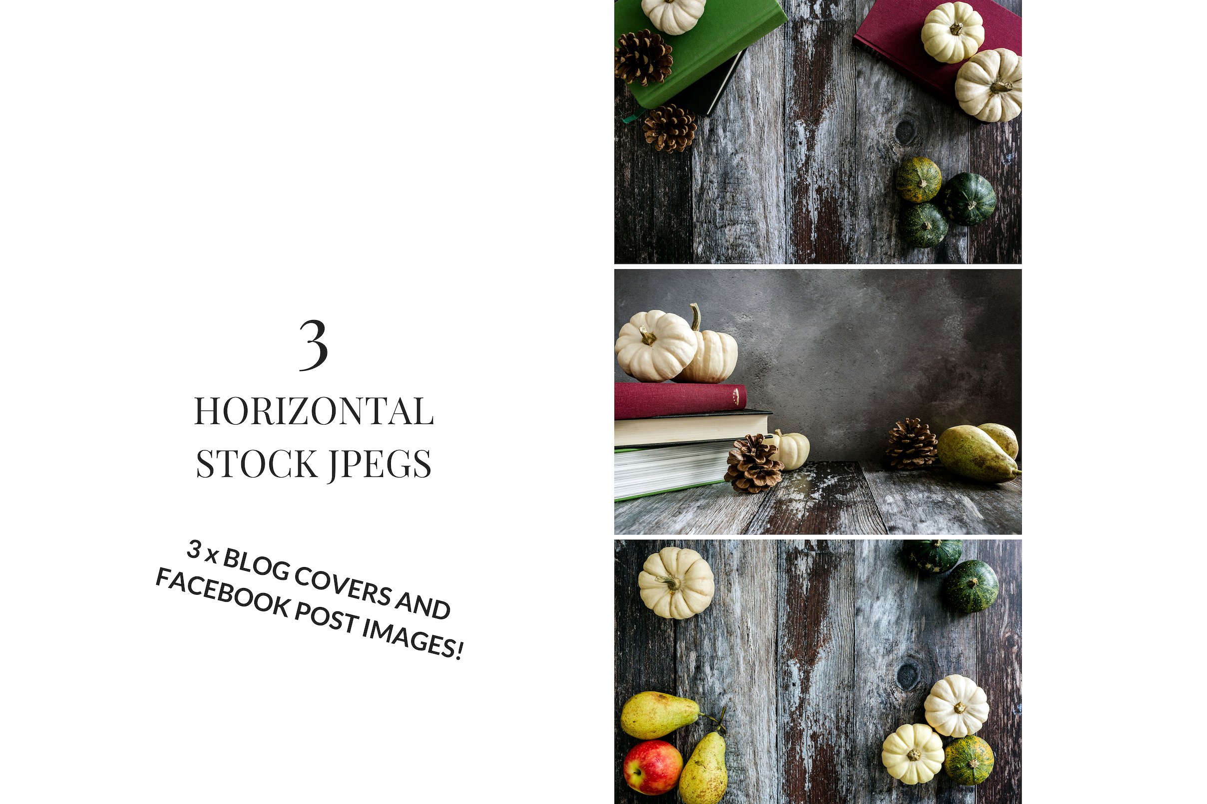 南瓜&梨子主题的社交媒体分享高清图片下载 Pumpkins & Pears [jpg]插图(2)