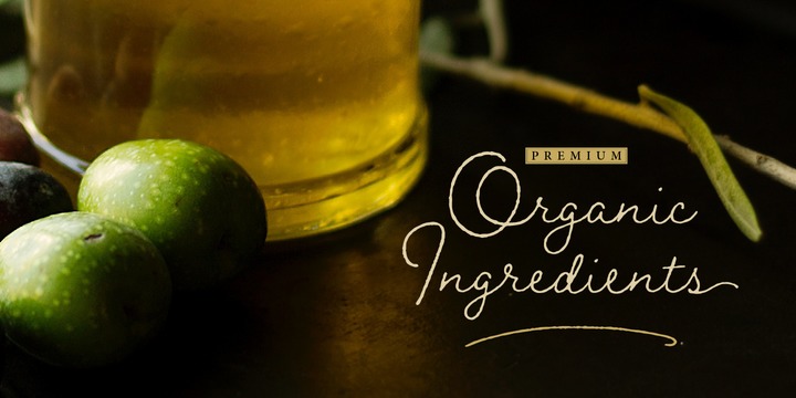 Braisetto Font Family插图