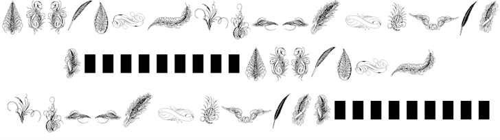 Penmanship Feathers font插图1 Penmanship Feathers font插图1