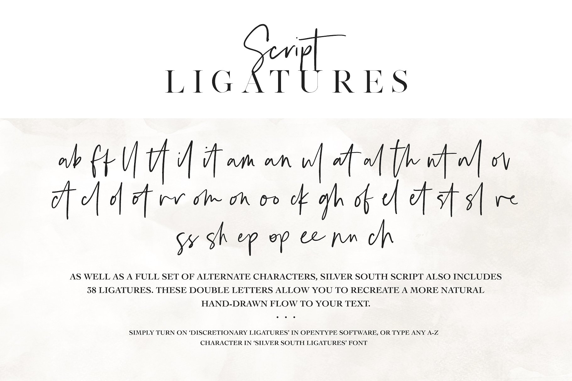 时尚的衬线字体和脚本字体 Silver South Font Duo插图(7)