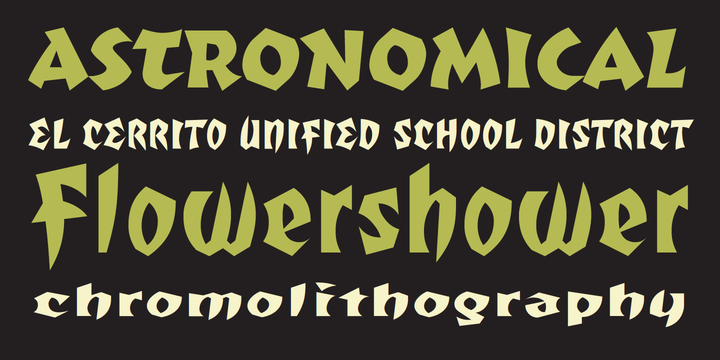 Totally Gothic & Totally Glyphic Font Family插图2