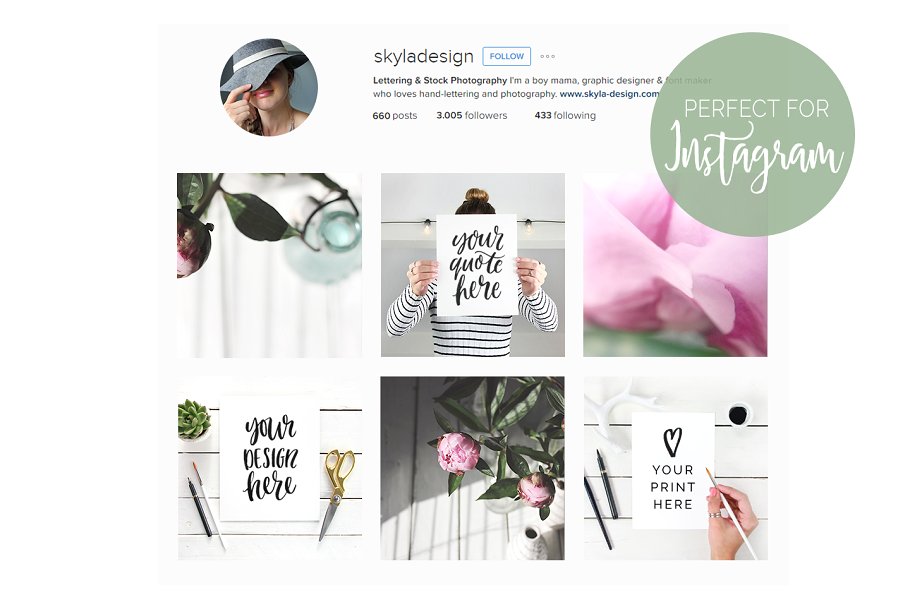 Ins专用手持引语纸张样机模板素材库精选 Quote mockups social media Instagram插图(1)