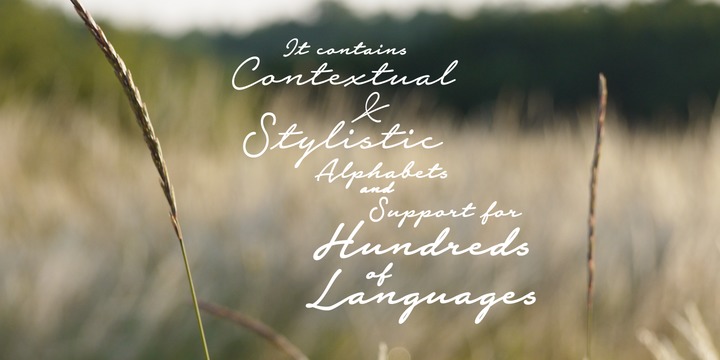 Notera 2 Font Family插图2