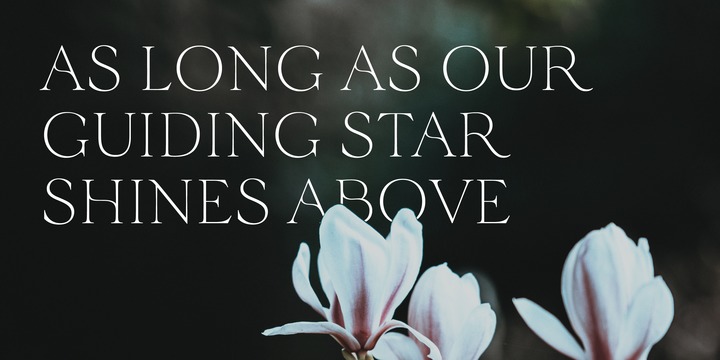 Velour Font Family – 6 Fonts插图3