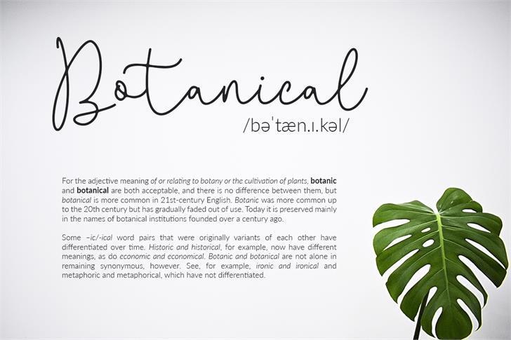 Questa Whitte font插图2