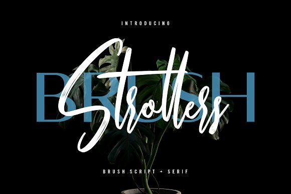 Strollers Font插图