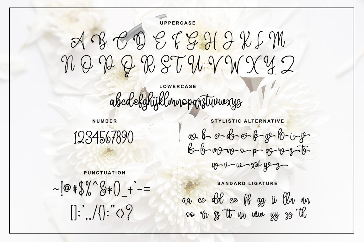 Fontbundles – Amellia插图1