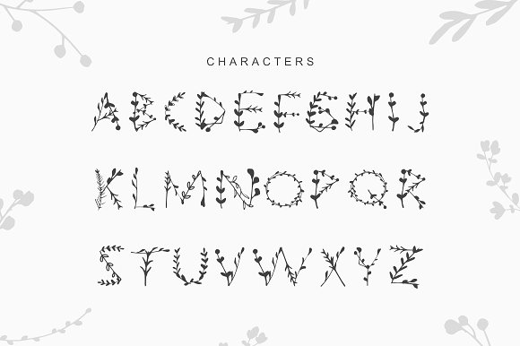 JOYFUL BOTANS FONT插图1