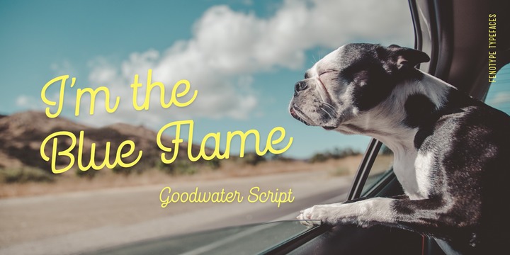 Goodwater Font Family插图9