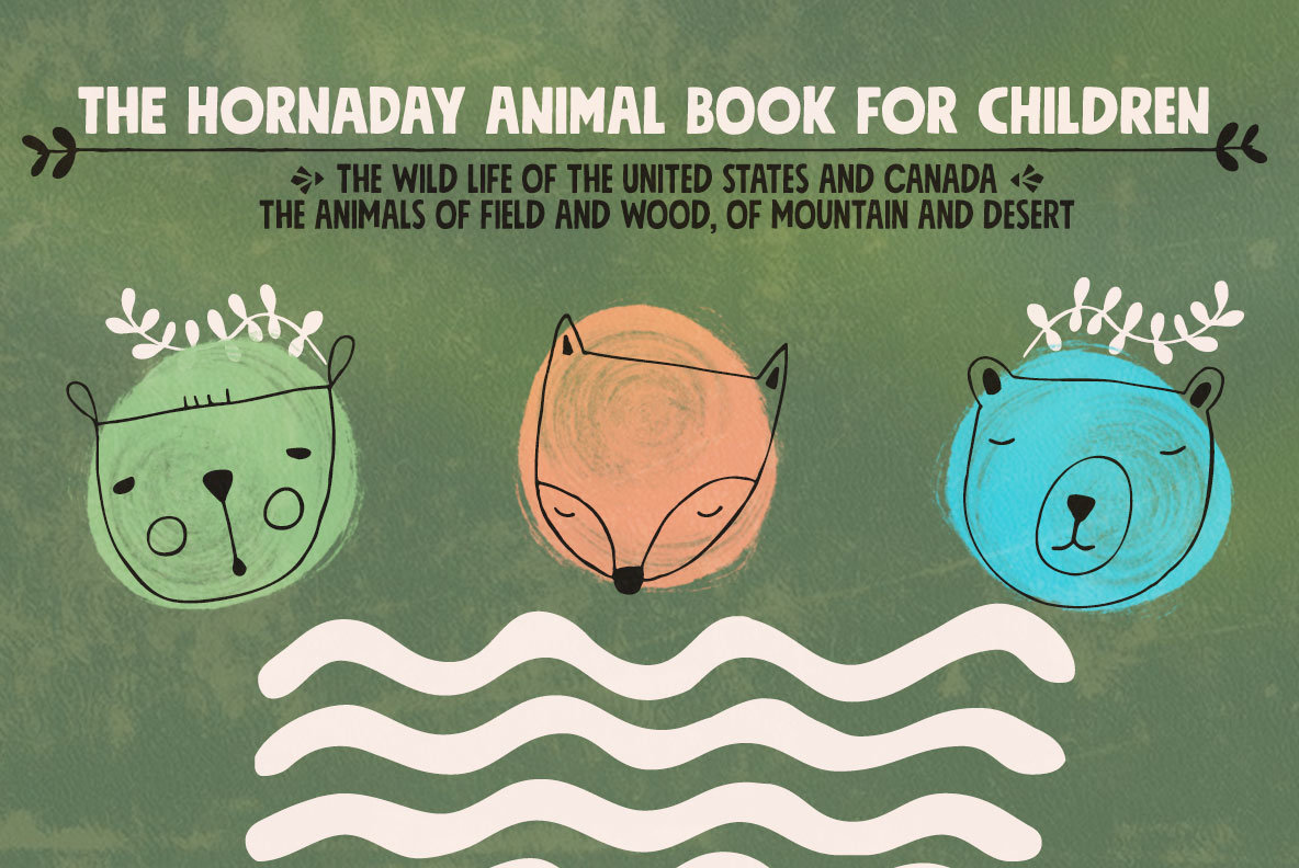 Mindset Font Family插图2