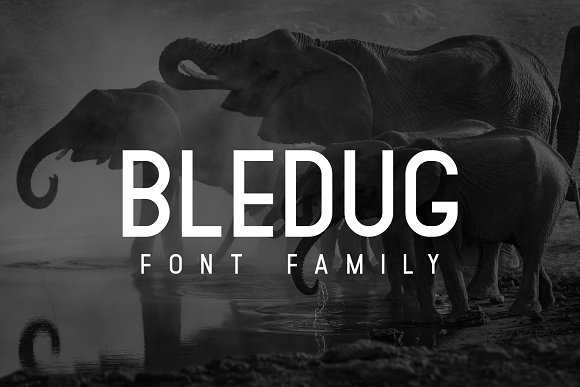 Bledug Font Family插图