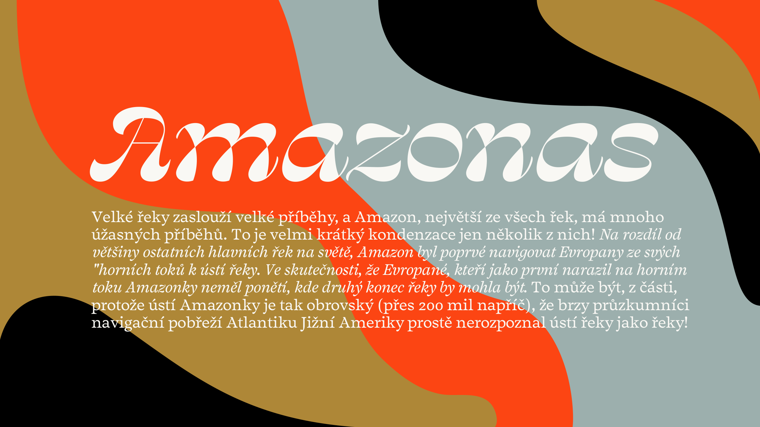 Salvaje Display Font Family插图2