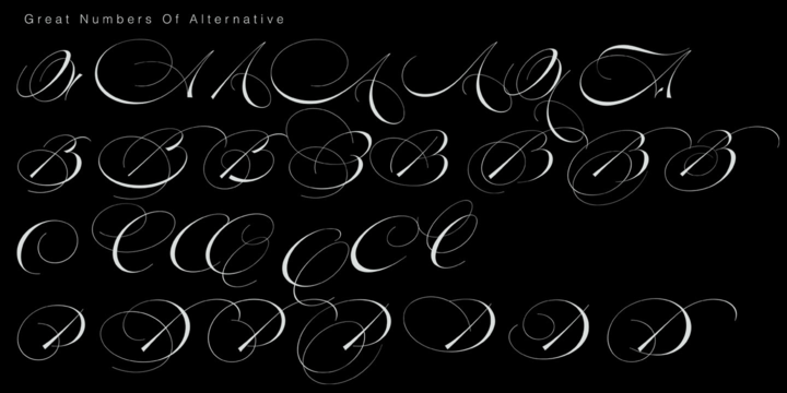 Electric Lady Font插图4