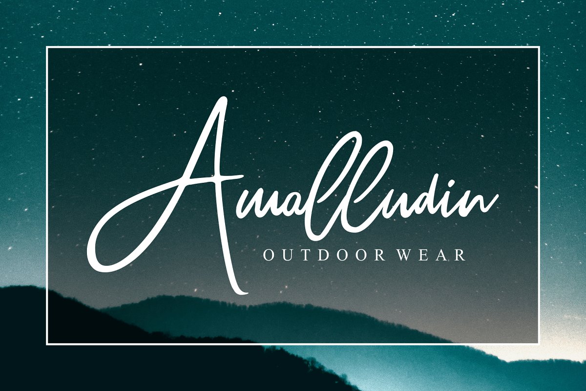 Wiltasso Font插图5