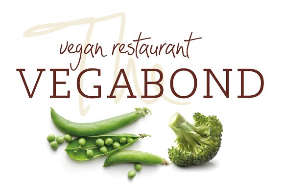 Crighton + Lev Duo Font Pack插图1