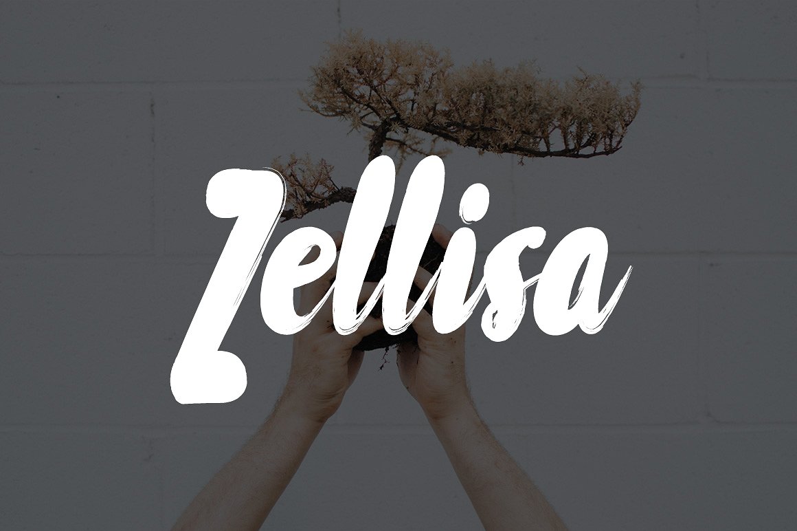 精选时尚大气潮流 PPT 模板 Zellisa Powerpoint Presentatio插图(1)