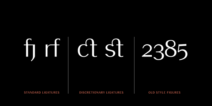 19-PRA Font Family插图4