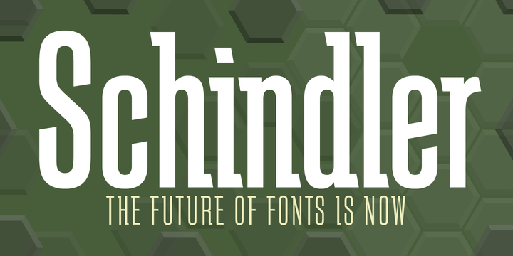 Schindler Font Family插图
