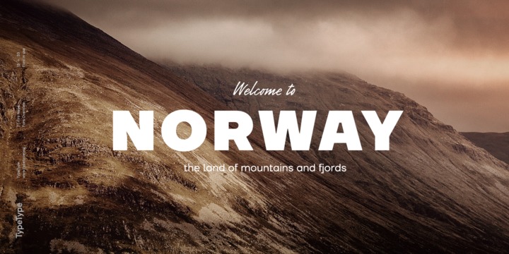 TT Firs Neue Font Family插图