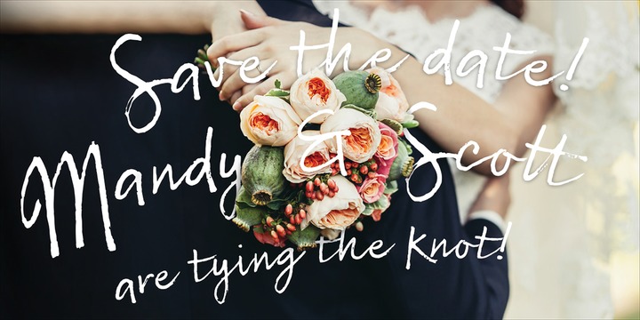 Sabbatical Font插图1