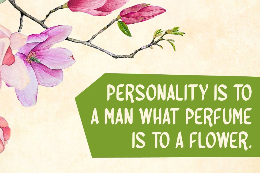 Queener Typeface Font插图1