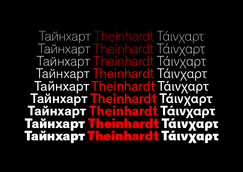 Theinhardt Pan Font Family插图1