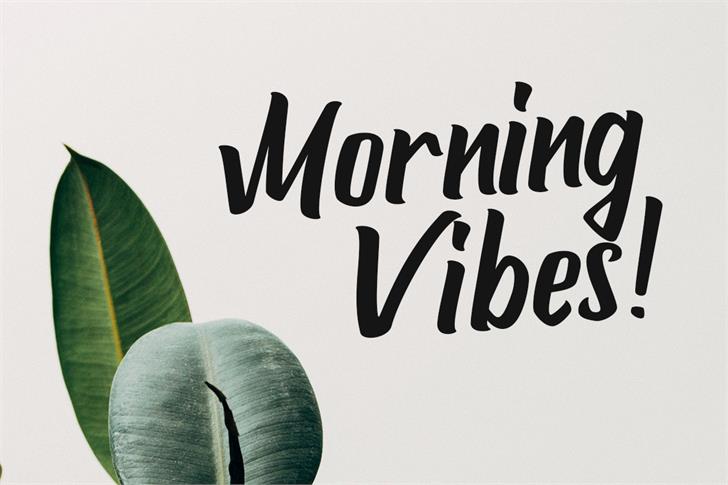 Attemptyon font插图1 Attemptyon font插图1