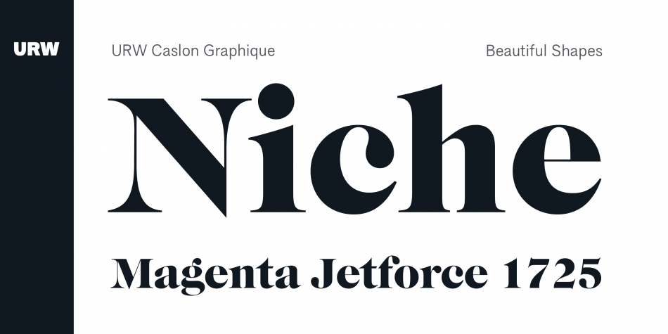URW Caslon Graphique Font插图3